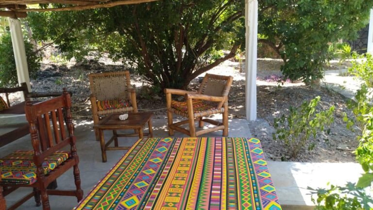 Immagine WhatsApp 2025-09-19 ore 12.47.35_3a74aa6a