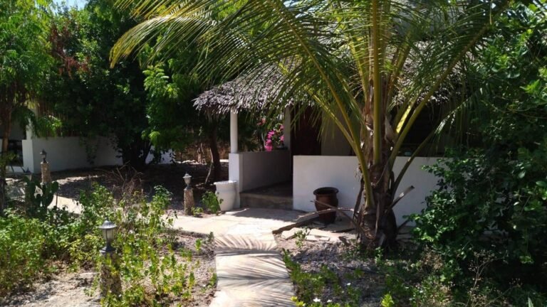 Immagine WhatsApp 2025-09-19 ore 12.47.36_39d81d0c